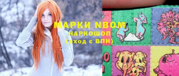 apvp Алзамай