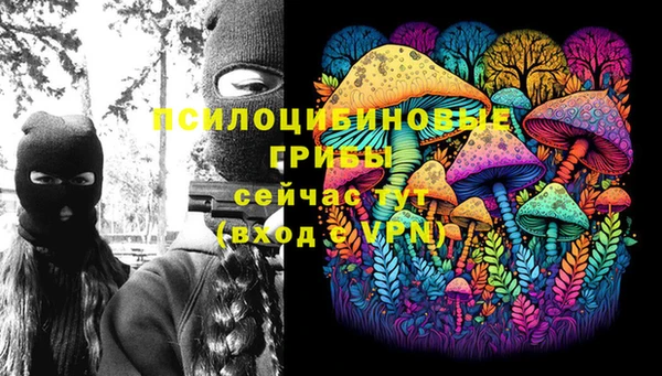 apvp Алзамай