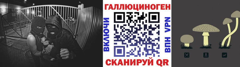 купить   Андреаполь  OMG сайт  Галлюциногенные грибы ЛСД 